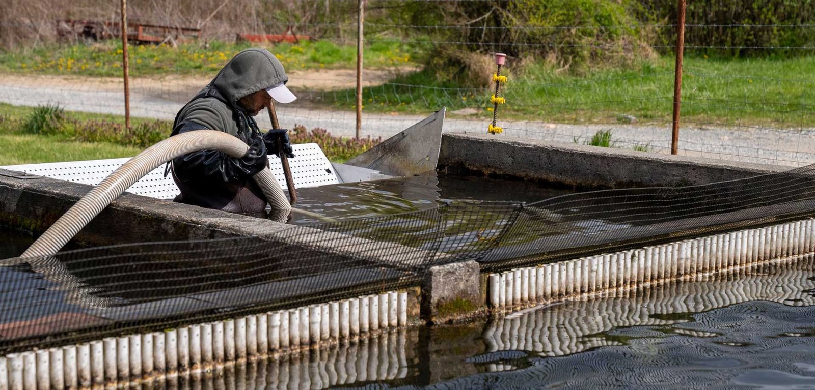 Tank Repair